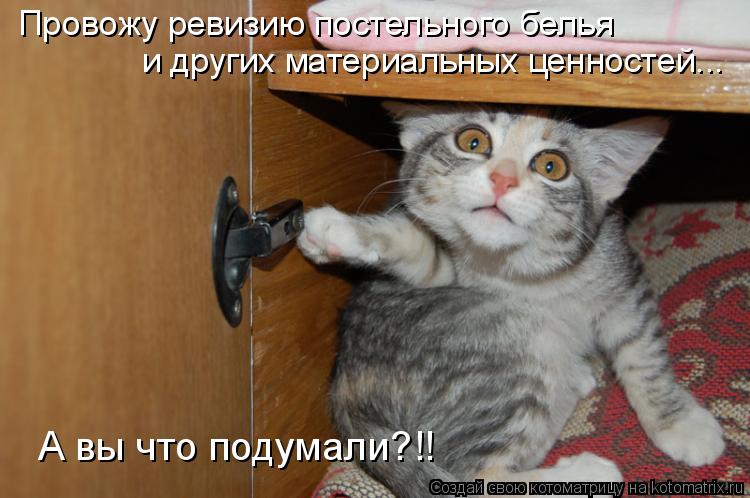 Котоматрица: Провожу ревизию постельного белья и других материальных ценностей... А вы что подумали?!!