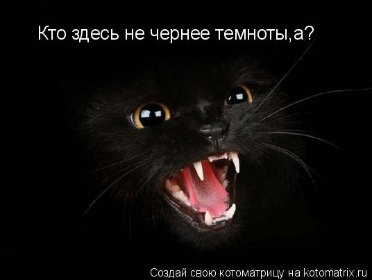 Кто здесь не чернее темноты,а?... Котоматрица: Кто здесь не чернее темноты,а?