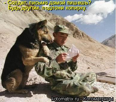 - Солдат, письмо домой пишешь? Будь другом, подложи копирку.... Котоматрица: - Солдат, письмо домой пишешь? Будь другом, подложи копирку.