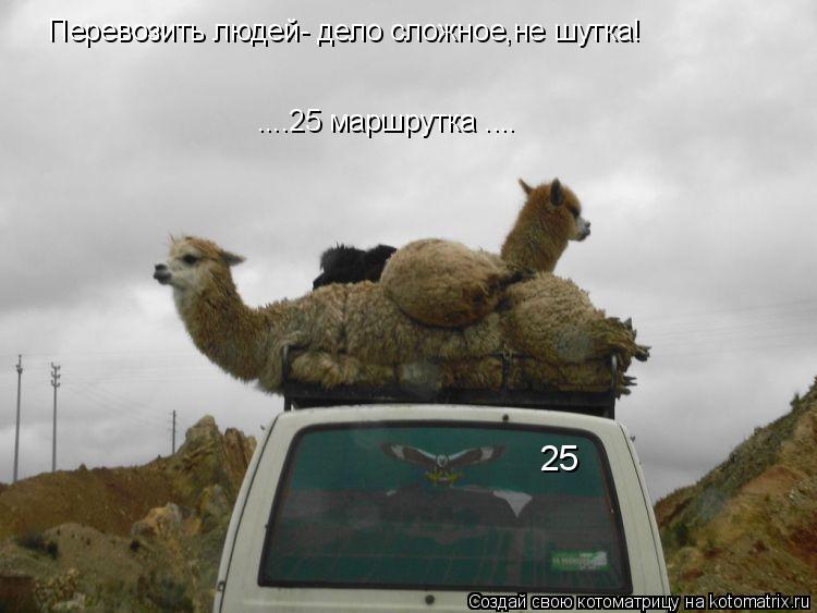 Перевозить людей- дело сложное,не шутка! 25 ....25 маршрутка ....... Котоматрица: Перевозить людей- дело сложное,не шутка! 25 ....25 маршрутка ....