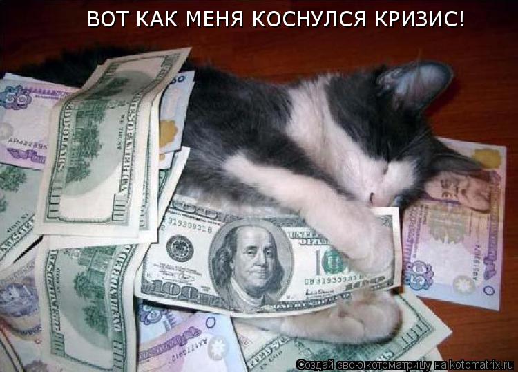 ВОТ КАК МЕНЯ КОСНУЛСЯ КРИЗИС!... Котоматрица: ВОТ КАК МЕНЯ КОСНУЛСЯ КРИЗИС!