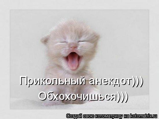 Прикольный анекдот))) Обхохочишься)))... Котоматрица: Прикольный анекдот))) Обхохочишься)))