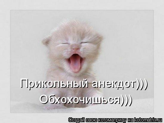 Котоматрица: Прикольный анекдот))) Обхохочишься)))