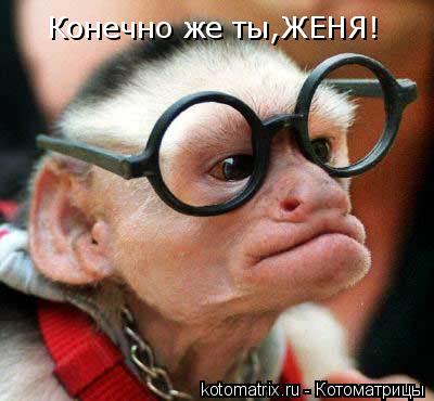Конечно же ты,ЖЕНЯ!... Котоматрица: Конечно же ты,ЖЕНЯ!