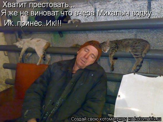 Хватит престовать... Я же не виноват что вчера Михалыч водку... Ик..принёс..Ик!!!... Котоматрица: Хватит престовать... Я же не виноват что вчера Михалыч водку... Ик..принёс..Ик!!!