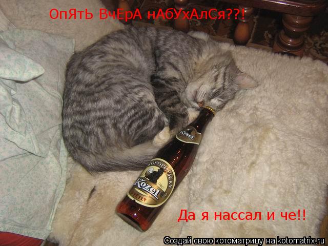 ОпЯтЬ ВчЕрА нАбУхАлСя?? ОпЯтЬ ВчЕрА нАбУхАлСя??! Да я нассал и че!!... Котоматрица: ОпЯтЬ ВчЕрА нАбУхАлСя?? ОпЯтЬ ВчЕрА нАбУхАлСя??! Да я нассал и че!!