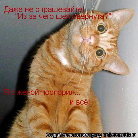 Даже не спрашевайте! Даже не спрашевайте! "Из за чего шея свёрнута?" Я с женой поспорил... и всё!... Котоматрица: Даже не спрашевайте! Даже не спрашевайте! "Из за чего шея свёрнута?" Я с женой поспорил... и всё!