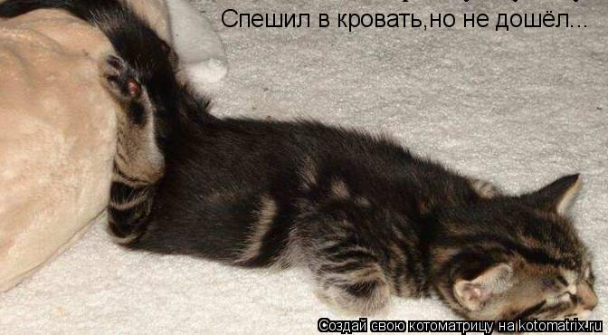 Спешил в кровать,но не дошёл...... Котоматрица: Спешил в кровать,но не дошёл...