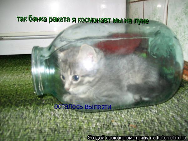так банка ракета я космонавт мы на луне осталось вылезти... Котоматрица: так банка ракета я космонавт мы на луне осталось вылезти