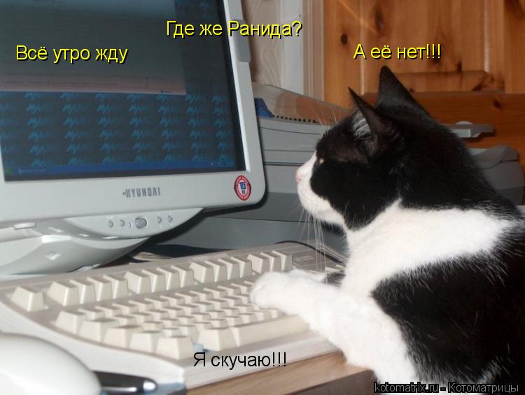 Где же Ранида? Всё утро жду А её нет!!! Я скучаю!!!... Котоматрица: Где же Ранида? Всё утро жду А её нет!!! Я скучаю!!!