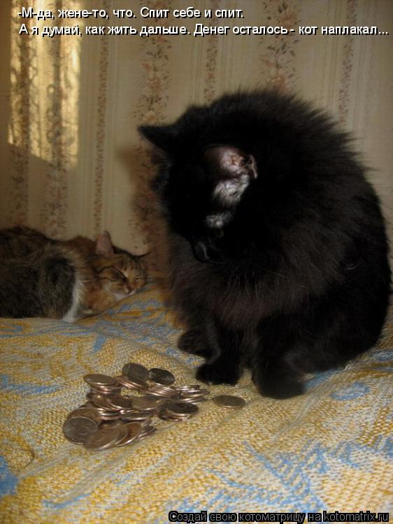 Котоматрица: -М-да, жене-то, что. Спит себе и спит.  А я думай, как жить дальше. Денег осталось - кот наплакал...