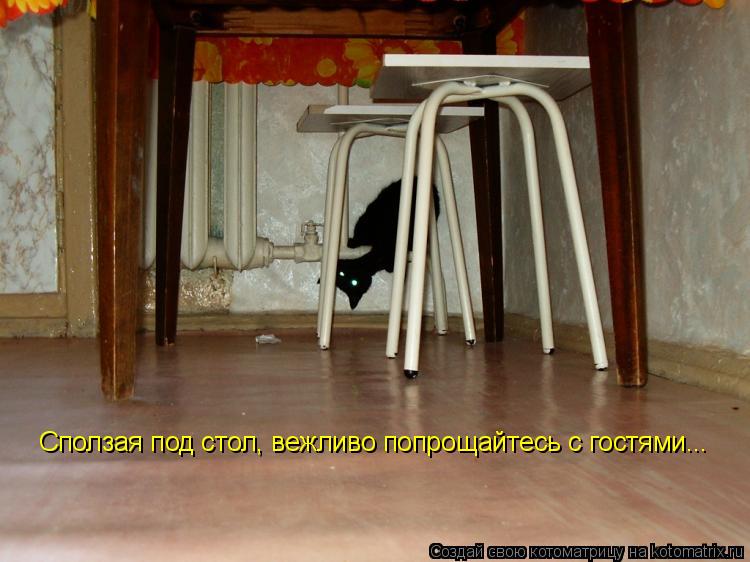 Сползая под стол, вежливо попрощайтесь с гостями...... Котоматрица: Сползая под стол, вежливо попрощайтесь с гостями...