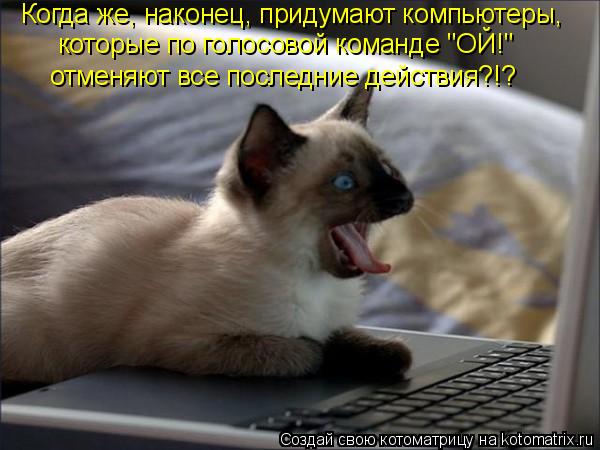 Когда же, наконец, придумают компьютеры, которые по голосовой команде "ОЙ!" отменяют все последние де... Котоматрица: Когда же, наконец, придумают компьютеры, которые по голосовой команде "ОЙ!" отменяют все последние действия?!?