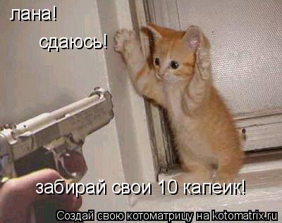 лана! сдаюсь! забирай свои 10 капеик!... Котоматрица: лана! сдаюсь! забирай свои 10 капеик!