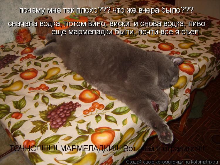 сначала водка, сначала водка, потом вино, виски. и снова водка, пиво еще мармеладки были, почти все я... Котоматрица: сначала водка, сначала водка, потом вино, виски. и снова водка, пиво еще мармеладки были, почти все я съел. почему мне так плохо??? что же вчера