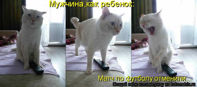 Матч по футболу отменили... Мужчина,как ребенок:... Котоматрица: Матч по футболу отменили... Мужчина,как ребенок: