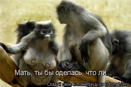 Мать, ты бы оделась, что ли...... Котоматрица: Мать, ты бы оделась, что ли...