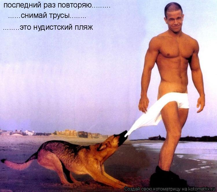 последний раз повторяю......... ......снимай трусы........ ........это нудистский пляж... Котоматрица: последний раз повторяю......... ......снимай трусы........ ........это нудистский пляж