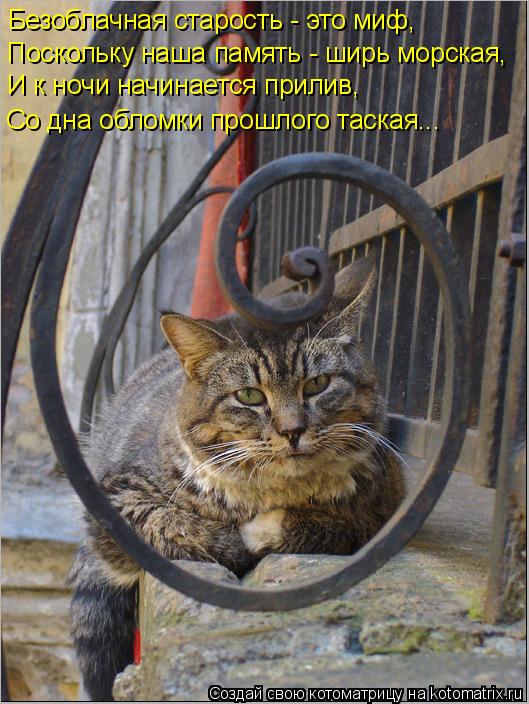 Безоблачная старость - это миф, Поскольку наша память - ширь морская, И к ночи начинается прилив, Со ... Котоматрица: Безоблачная старость - это миф, Поскольку наша память - ширь морская, И к ночи начинается прилив, Со дна обломки прошлого таская...
