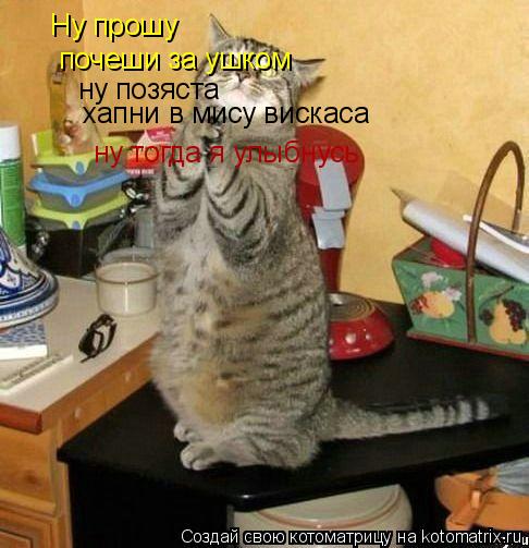 Ну прошу почеши за ушком ну позяста хапни в мису вискаса ну тогда я улыбнусь... Котоматрица: Ну прошу почеши за ушком ну позяста хапни в мису вискаса ну тогда я улыбнусь