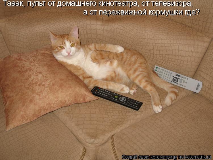 а от пережвижной кормушки где? Тааак, пульт от домашнего кинотеатра, от телевизора,... Котоматрица: а от пережвижной кормушки где? Тааак, пульт от домашнего кинотеатра, от телевизора,