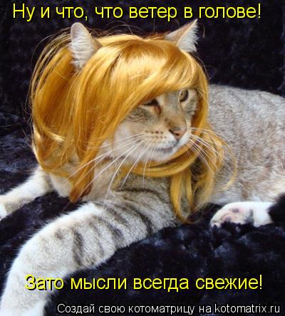 Ну и что, что ветер в голове! Зато мысли всегда свежие!... Котоматрица: Ну и что, что ветер в голове! Зато мысли всегда свежие!