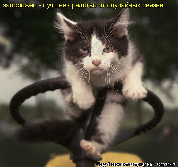 запорожец - лучшее средство от случайных связей...... Котоматрица: запорожец - лучшее средство от случайных связей...