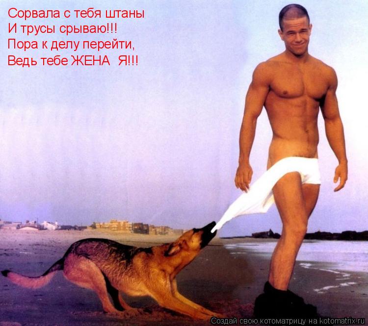 Котоматрица: Сорвала с тебя штаны И трусы срываю!!! Пора к делу перейти, Ведь тебе ЖЕНА  Я!!!