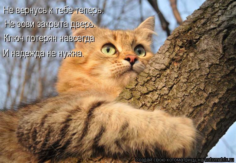 Не зови закрыта дверь. Не вернусь к тебе теперь. Ключ потерян навсегда И надежда не нужна.... Котоматрица: Не зови закрыта дверь. Не вернусь к тебе теперь. Ключ потерян навсегда И надежда не нужна.