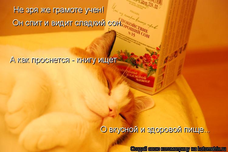 Не зря же грамоте учен! Он спит и видит сладкий сон. А как проснется - книгу ищет О вкусной и здорово... Котоматрица: Не зря же грамоте учен! Он спит и видит сладкий сон. А как проснется - книгу ищет О вкусной и здоровой пище...