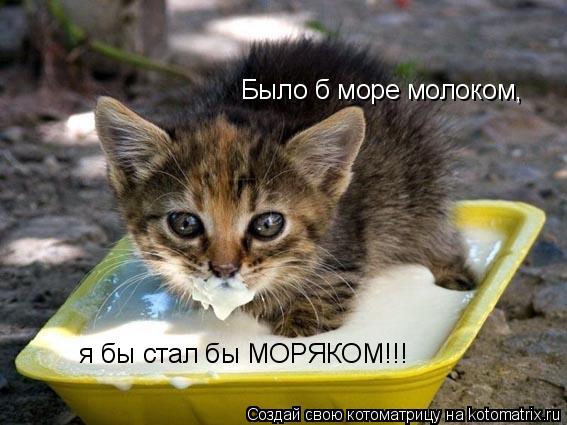Было б море молоком, я бы стал бы МОРЯКОМ!!!... Котоматрица: Было б море молоком, я бы стал бы МОРЯКОМ!!!