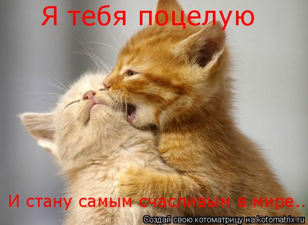 Я тебя поцелую И стану самым счасливым в мире...... Котоматрица: Я тебя поцелую И стану самым счасливым в мире...