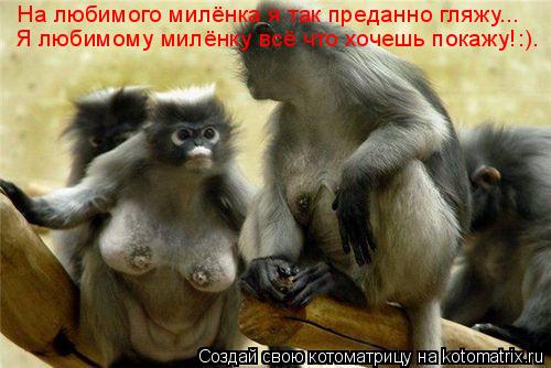 На любимого милёнка я так преданно гляжу... Я любимому милёнку всё что хочешь покажу!:).... Котоматрица: На любимого милёнка я так преданно гляжу... Я любимому милёнку всё что хочешь покажу!:).