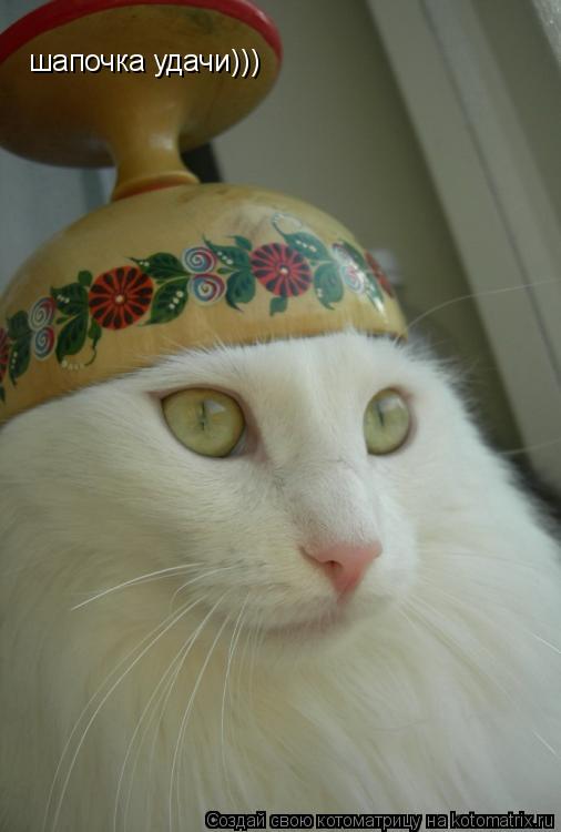 шапочка удачи)))... Котоматрица: шапочка удачи)))