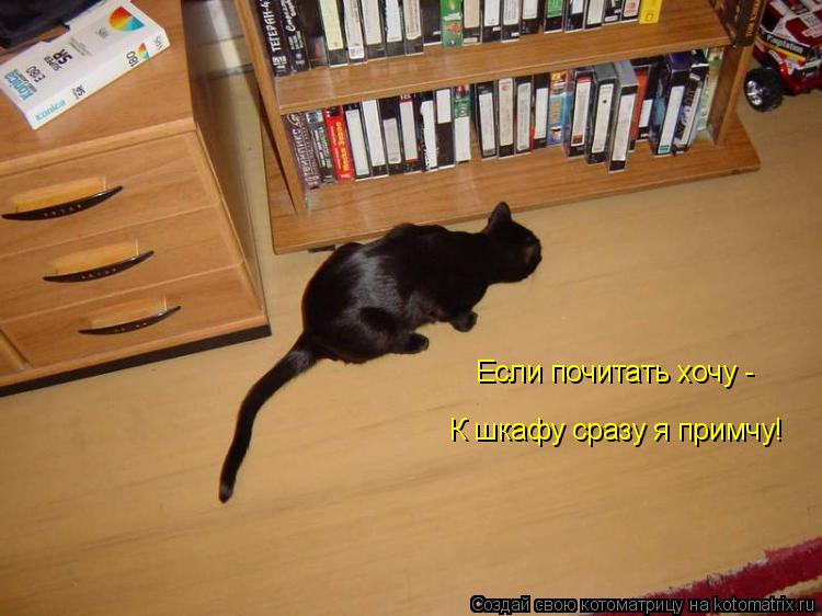 Если почитать хочу - К шкафу сразу я примчу!... Котоматрица: Если почитать хочу - К шкафу сразу я примчу!