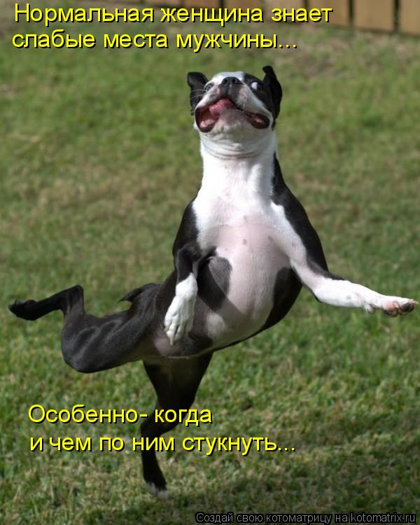 Нормальная женщина знает слабые места мужчины... Особенно- когда и чем по ним стукнуть...... Котоматрица: Нормальная женщина знает слабые места мужчины... Особенно- когда и чем по ним стукнуть...