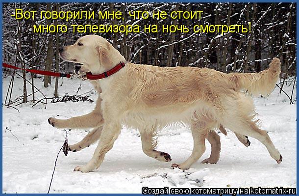 -Вот говорили мне, что не стоит много телевизора на ночь смотреть!... Котоматрица: -Вот говорили мне, что не стоит много телевизора на ночь смотреть!
