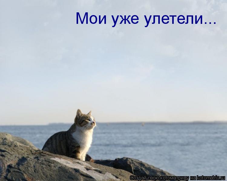 Мои уже улетели...... Котоматрица: Мои уже улетели...