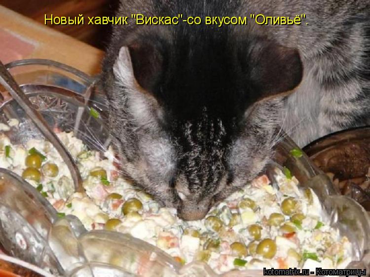 Котоматрица: Новый хавчик "Вискас"-со вкусом "Оливьё".