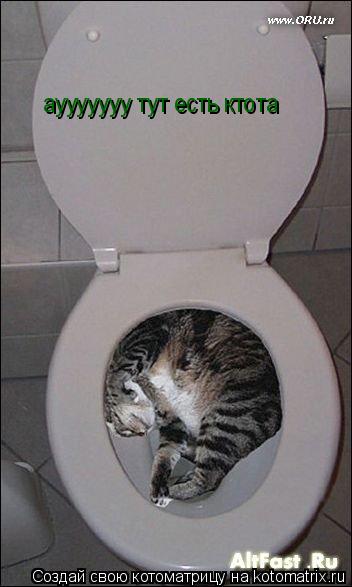 аууууууу тут есть ктота... Котоматрица: аууууууу тут есть ктота