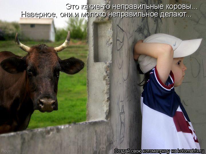 Котоматрица: Это какие-то неправильные коровы... Наверное, они и молоко неправильное делают...