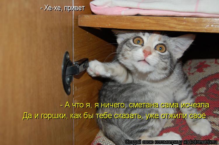 - Хе-хе, привет - А что я, я ничего, сметана сама исчезла Да и горшки, как бы тебе сказать, уже отжи... Котоматрица: - Хе-хе, привет - А что я, я ничего, сметана сама исчезла Да и горшки, как бы тебе сказать, уже отжили своё