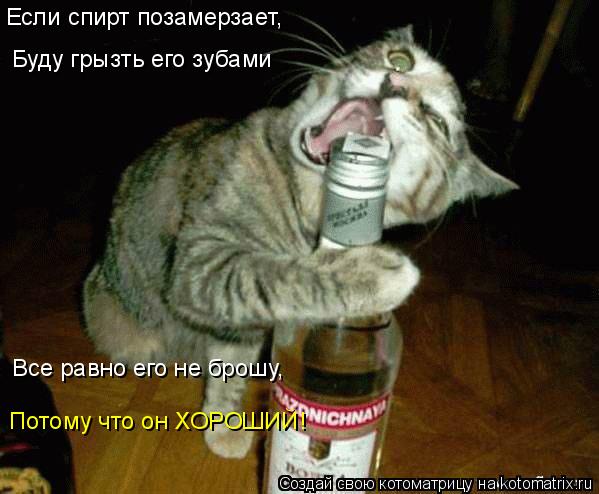 Котоматрица: Буду грызть его зубами Все равно его не брошу, Потому что он ХОРОШИЙ! Если спирт позамерзает,