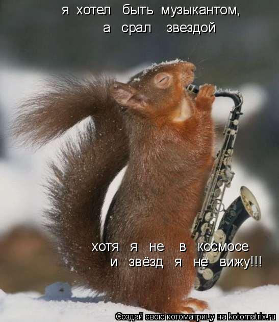 я хотел быть музыкантом, я хотел быть музыкантом, а срал звездой хотя я не в ко... Котоматрица: я хотел быть музыкантом, я хотел быть музыкантом, а срал звездой хотя я не в космосе и звёзд я не вижу!!!