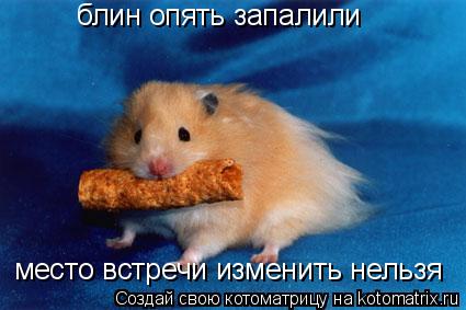 блин опять запалили место встречи изменить нельзя... Котоматрица: блин опять запалили место встречи изменить нельзя