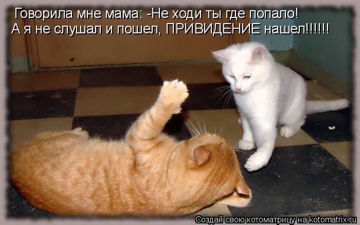 Говорила мне мама: -Не ходи ты где попало! А я не слушал и пошел, ПРИВИДЕНИЕ нашел!!!!!!... Котоматрица: Говорила мне мама: -Не ходи ты где попало! А я не слушал и пошел, ПРИВИДЕНИЕ нашел!!!!!!