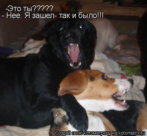 -Это ты????? - Нее. Я зашел- так и было!!!... Котоматрица: -Это ты????? - Нее. Я зашел- так и было!!!