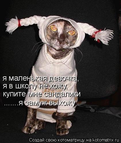 я маленькая девочка, я в школу не хожу, купите мне сандалики .......я замуж выхожу... Котоматрица: я маленькая девочка, я в школу не хожу, купите мне сандалики .......я замуж выхожу