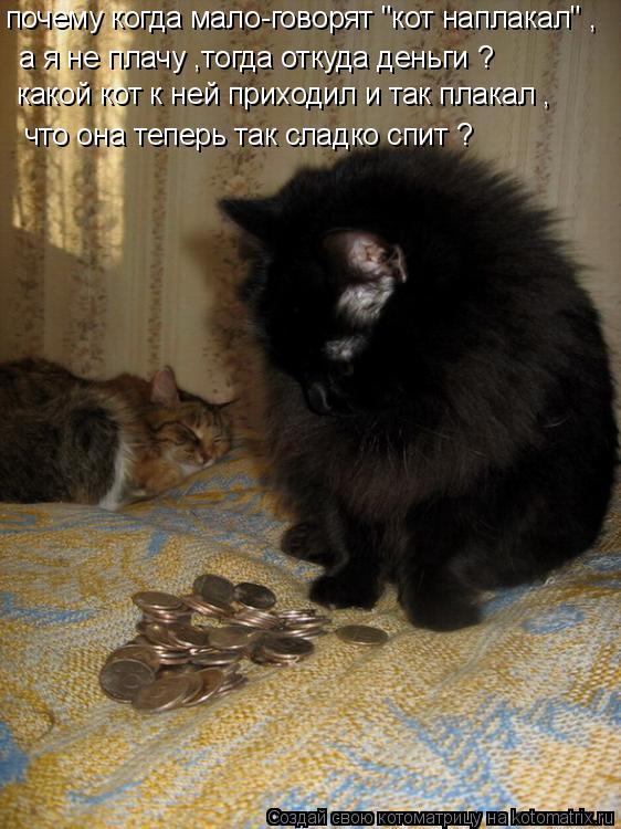 почему когда мало-говорят "кот наплакал" , а я не плачу ,тогда откуда деньги ? какой кот к ней приход... Котоматрица: почему когда мало-говорят "кот наплакал" , а я не плачу ,тогда откуда деньги ? какой кот к ней приходил и так плакал , что она теперь так сладко