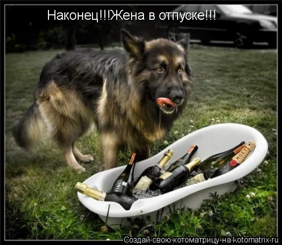 Наконец!!!Жена в отпуске!!!... Котоматрица: Наконец!!!Жена в отпуске!!!